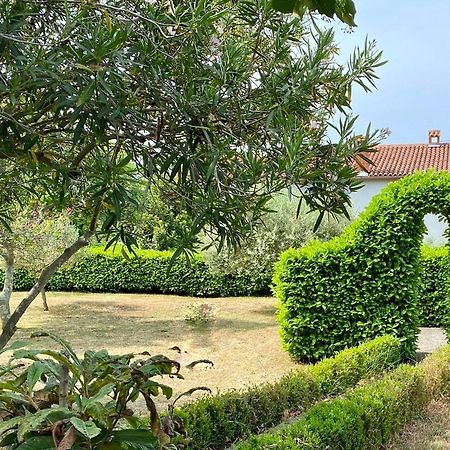 Villa Valica Gardens Savudrija Exterior foto
