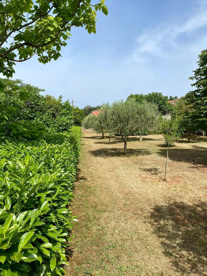 Villa Valica Gardens Savudrija Exterior foto