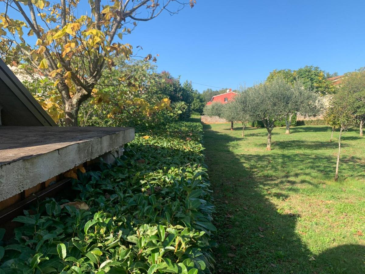 Villa Valica Gardens Savudrija Exterior foto