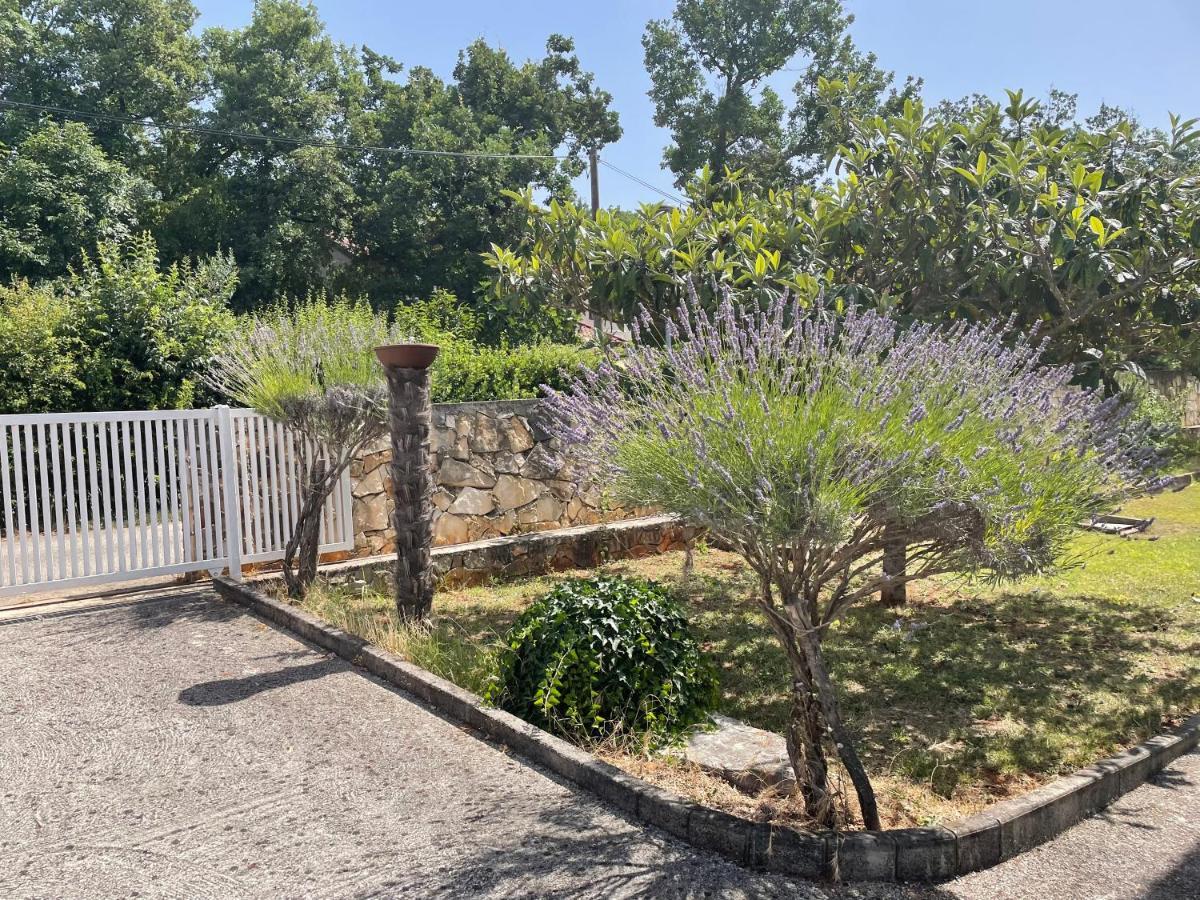 Villa Valica Gardens Savudrija Exterior foto